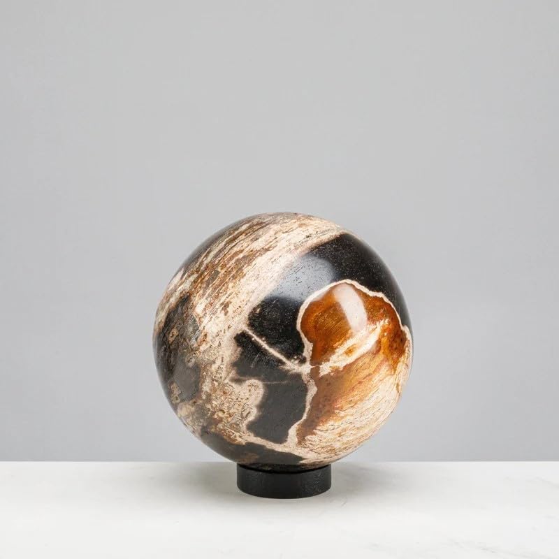 KALIFANO - 5" Black Petrified Wood Sphere, Natural Earthy Elegance for Your Space, Office or Home Decor