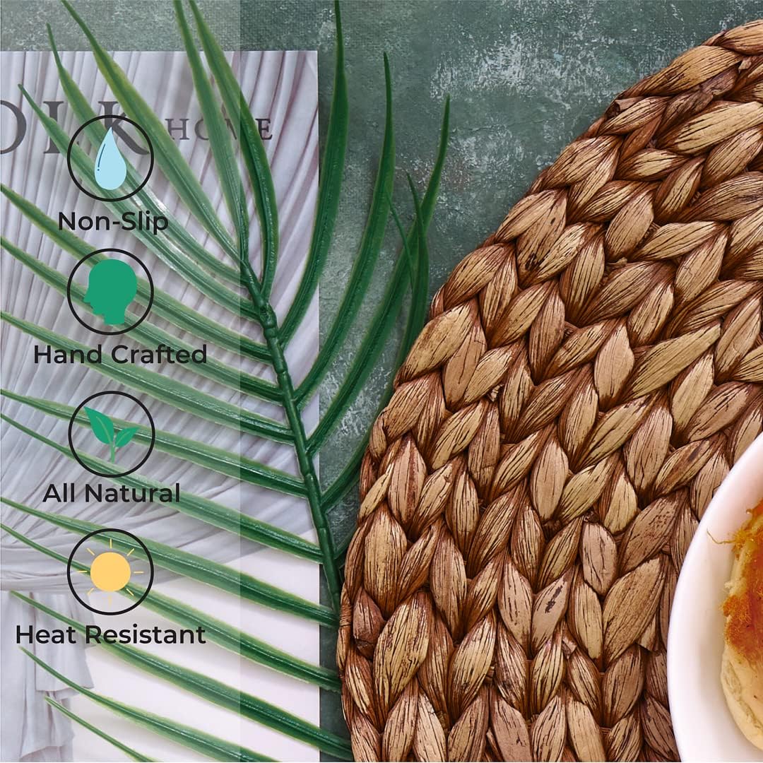 BARIEN Brown Woven Placemats Round Set of 10, Natural Water Hyacinth Weave Placemat for Dining Table, Large Handmade Woven Placemats Heat Resistant Non-Slip (15")