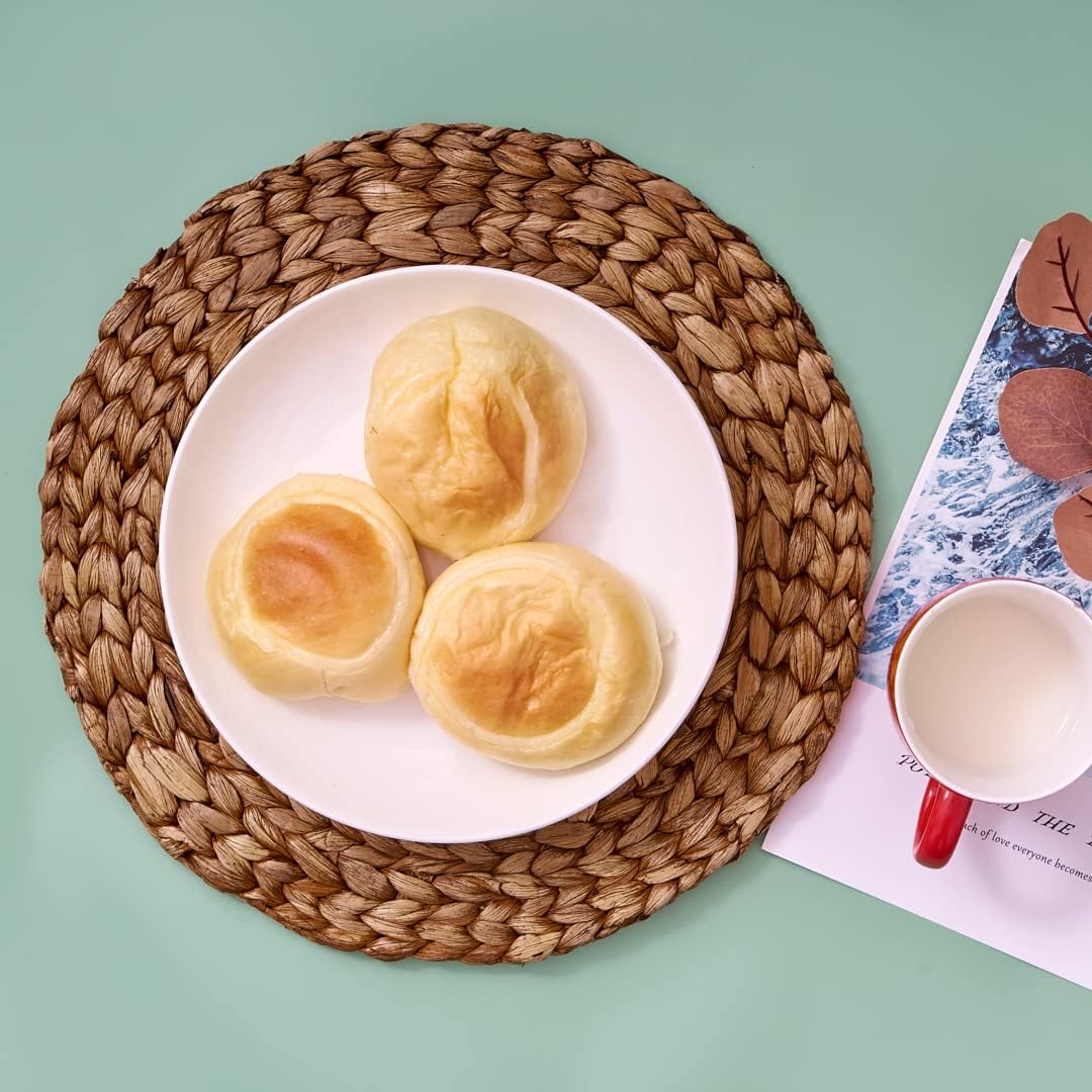 BARIEN Brown Woven Placemats Round Set of 10, Natural Water Hyacinth Weave Placemat for Dining Table, Large Handmade Woven Placemats Heat Resistant Non-Slip (14")