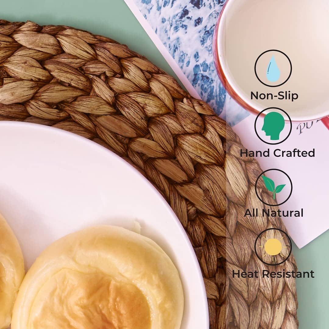 BARIEN Brown Woven Placemats Round Set of 10, Natural Water Hyacinth Weave Placemat for Dining Table, Large Handmade Woven Placemats Heat Resistant Non-Slip (13")