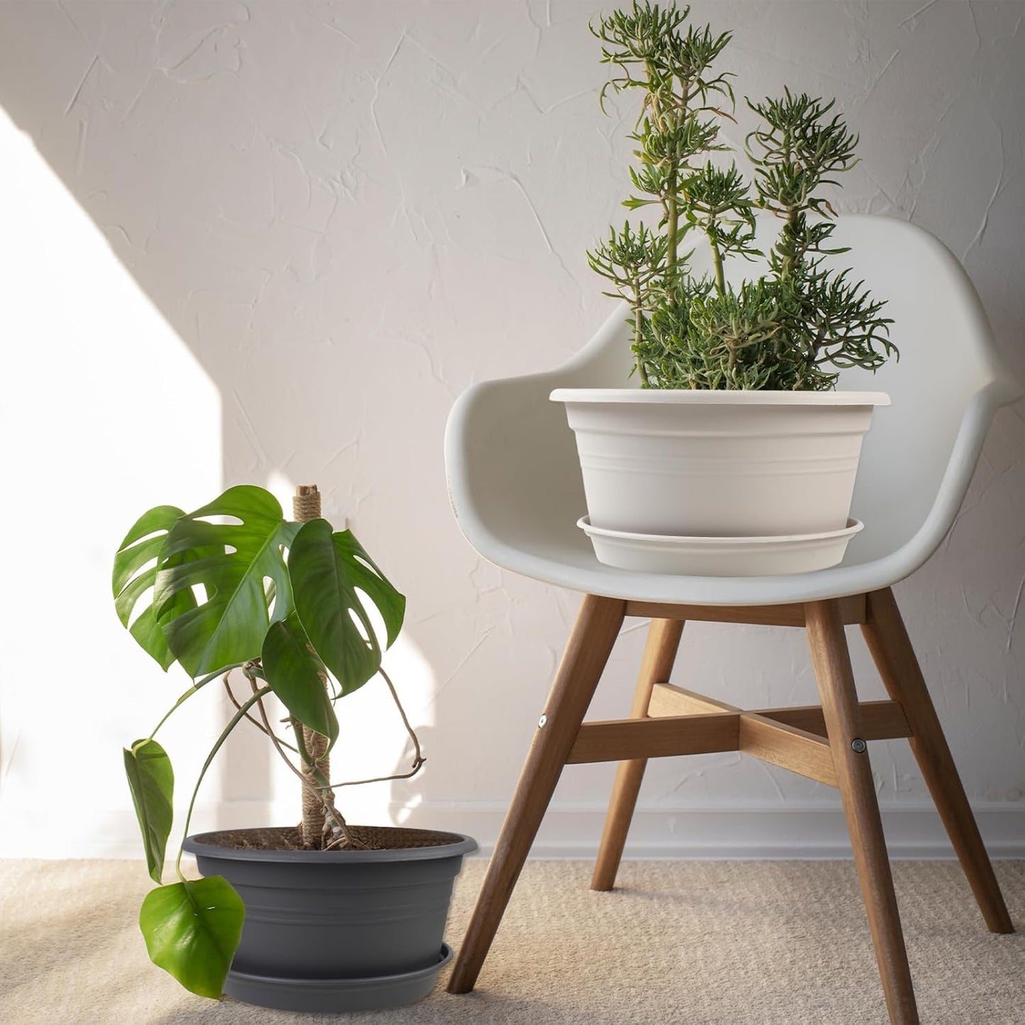 6 Pack 10 inch Plant Pot, Outdoor Pots for Plants with Drainage Hole & Tray Saucer, Round Plastic Plant Pot, Decoration Flower Pots for Indoor Plants Home Garden Outdoor Planters (Gray White)