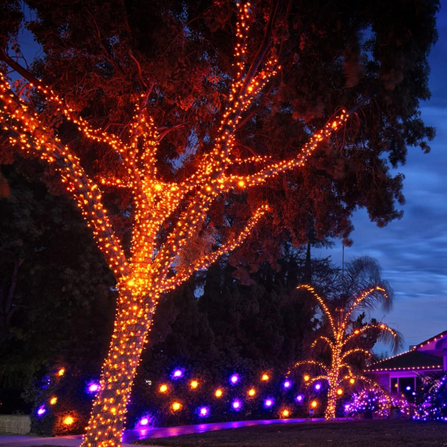 TW SHINE Halloween Lights, 200 LED 66FT Outdoor Halloween Lights Plug in with 8 Modes, Waterproof Light Outdoor, Indoor Decorations for Party Yard Haunted House Decor, Orange