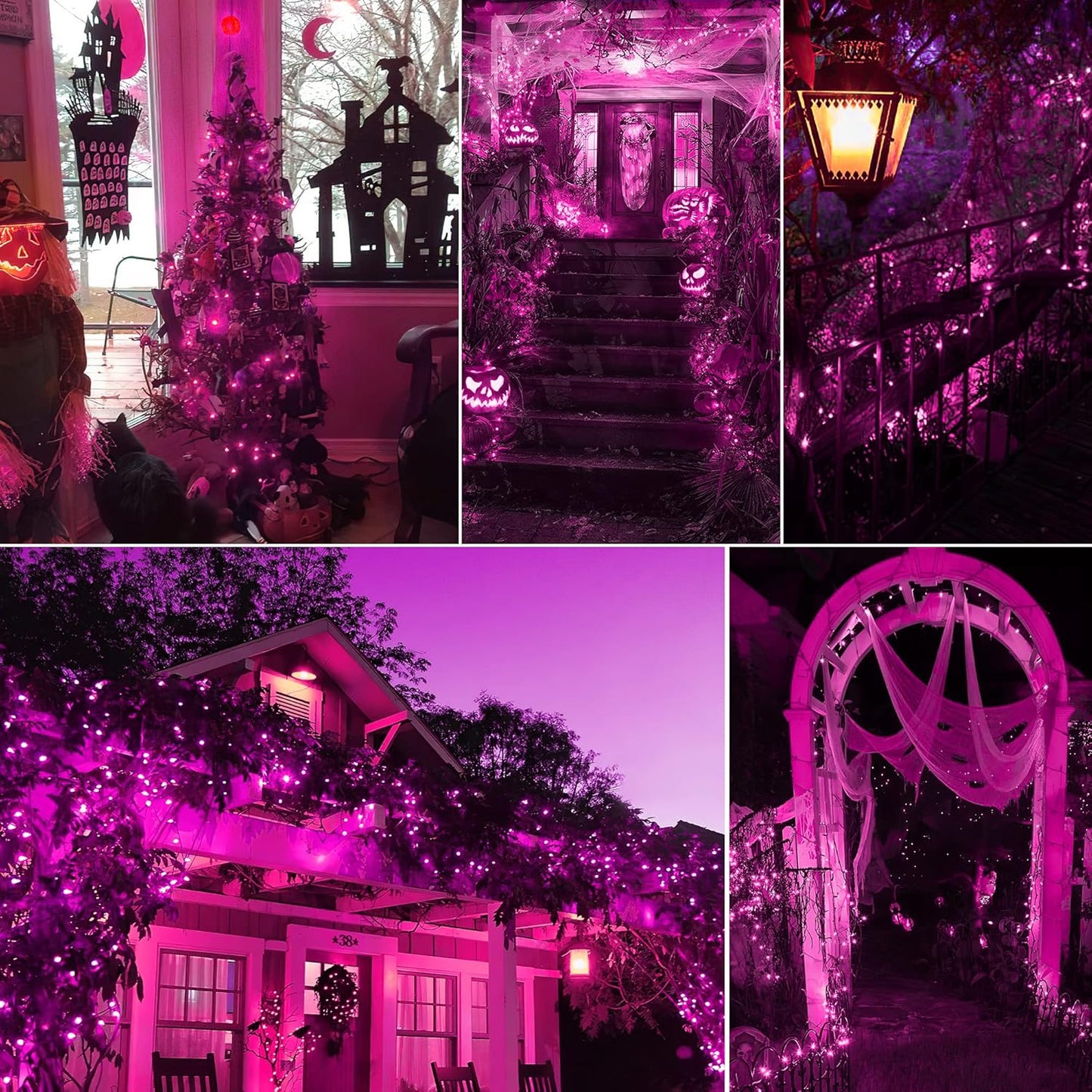 Hopolon Purple Christmas Lights Outdoor, 2Pack 13Feet 50Count Halloween String Lights Connectable 120V Plug in for Outdoor Indoor Garden Party Christmas Xmas Tree Lights Decor (Purple)