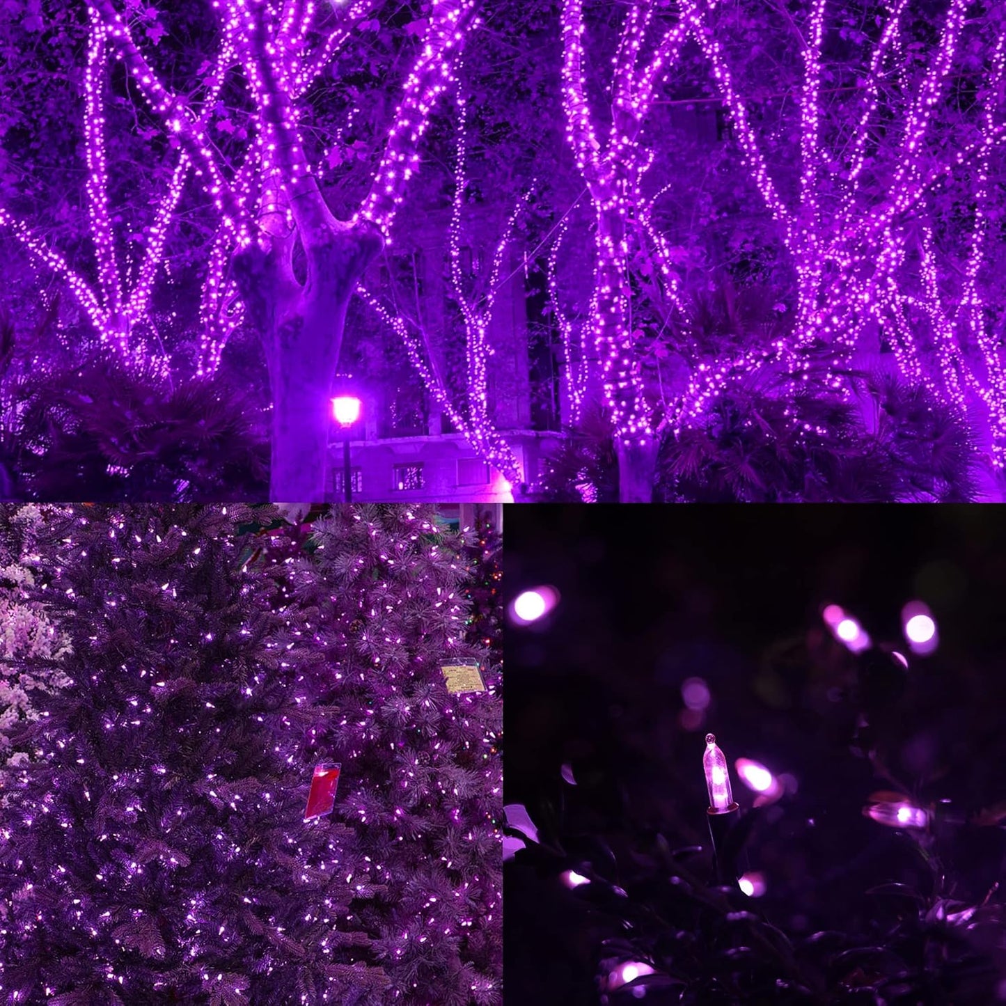 WATERGLIDE 50 LED Outdoor Halloween Lights, 16 FT Mini String Light with 8 Modes, Waterproof Battery Operated Tree Lights for Indoor Outdoor Patio Garden Party Wedding Decoration, Purple