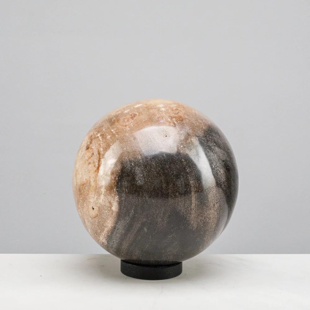 KALIFANO - 5" Brown Petrified Wood Sphere, Natural Earthy Elegance for Your Space, Office or Home Decor