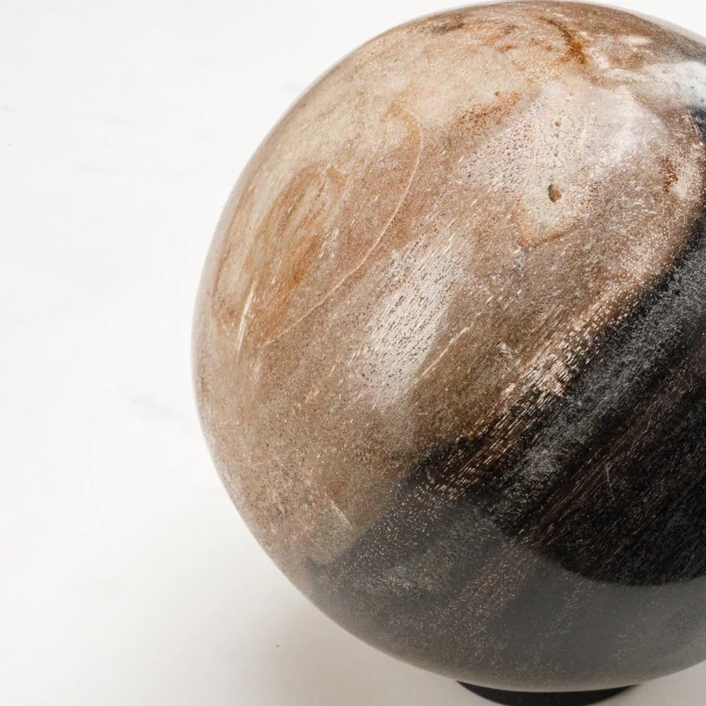KALIFANO - 5" Brown Petrified Wood Sphere, Natural Earthy Elegance for Your Space, Office or Home Decor