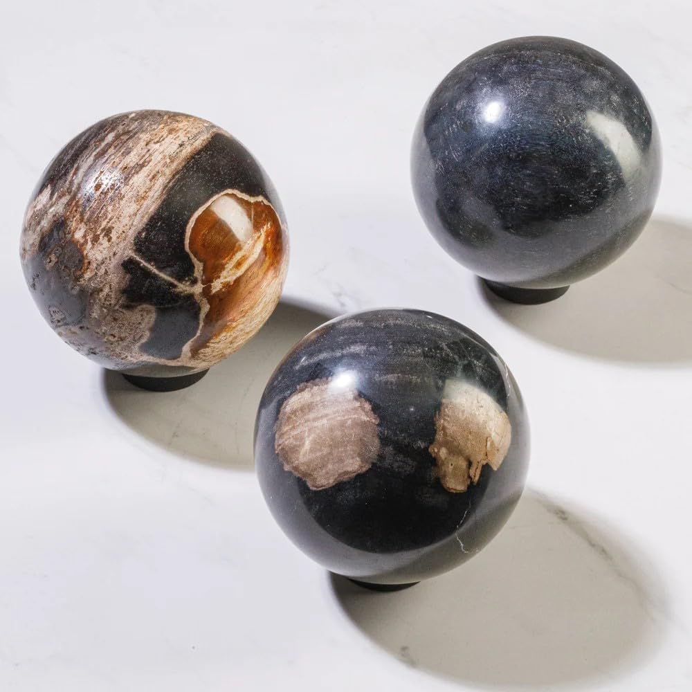 KALIFANO - 5" Black Petrified Wood Sphere, Natural Earthy Elegance for Your Space, Office or Home Decor