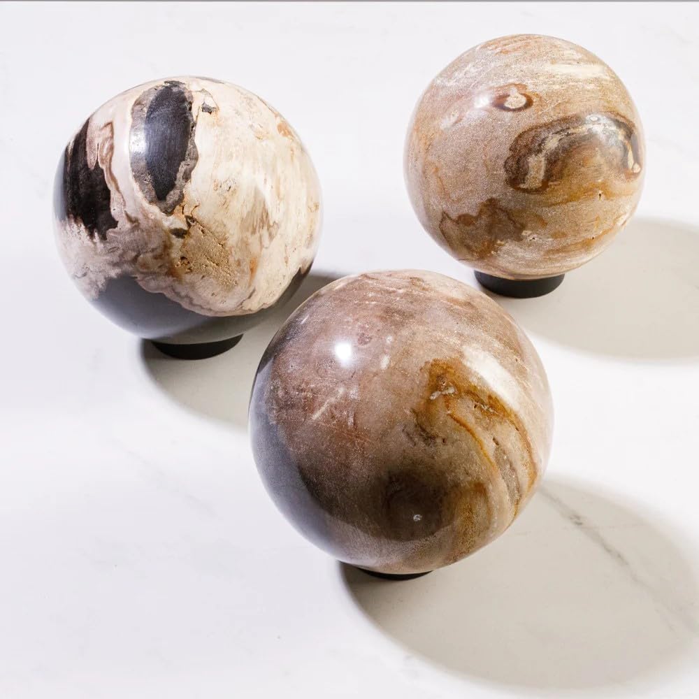 KALIFANO - 5" Brown Petrified Wood Sphere, Natural Earthy Elegance for Your Space, Office or Home Decor