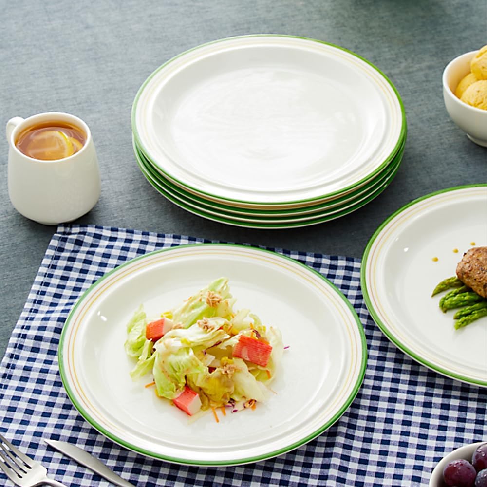 10.5-inch Porcelain Dinner Plate Set of 6 - Microwave, Oven and Dishwasher Safe, Scratch Resistant. (Cozy Green)