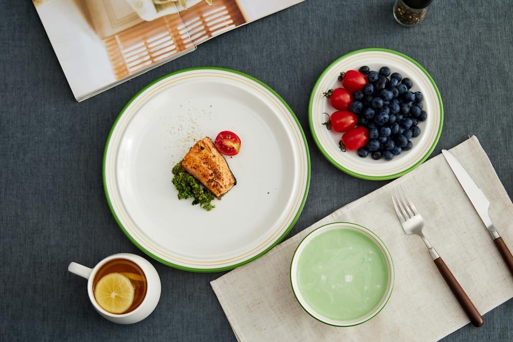 10.5-inch Porcelain Dinner Plate Set of 6 - Microwave, Oven and Dishwasher Safe, Scratch Resistant. (Cozy Green)