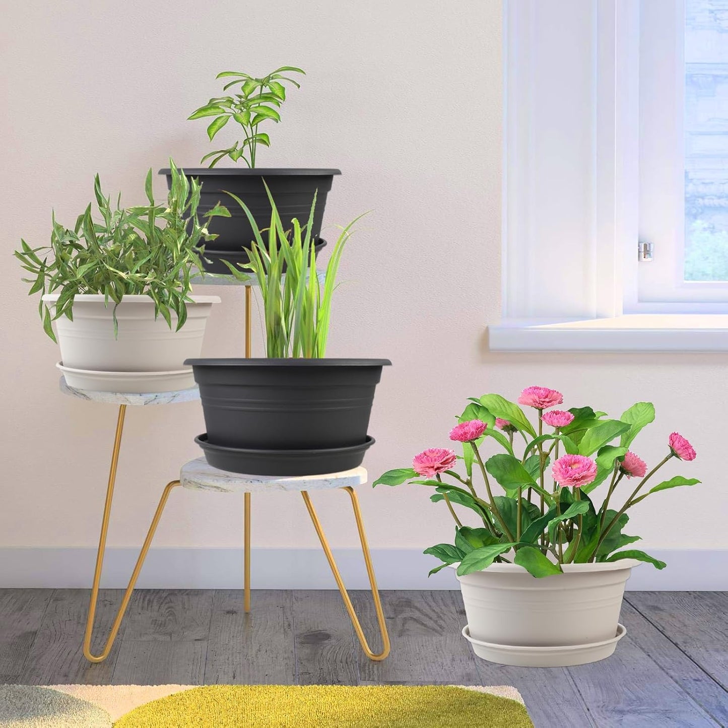 6 Pack 10 inch Plant Pot, Round Plastic Plant Pots, Outdoor Pots for Plants with Drainage Hole & Tray Saucer, Decoration Flower Pots for Indoor Plants Home Garden Outdoor Planters (Dark Gray)