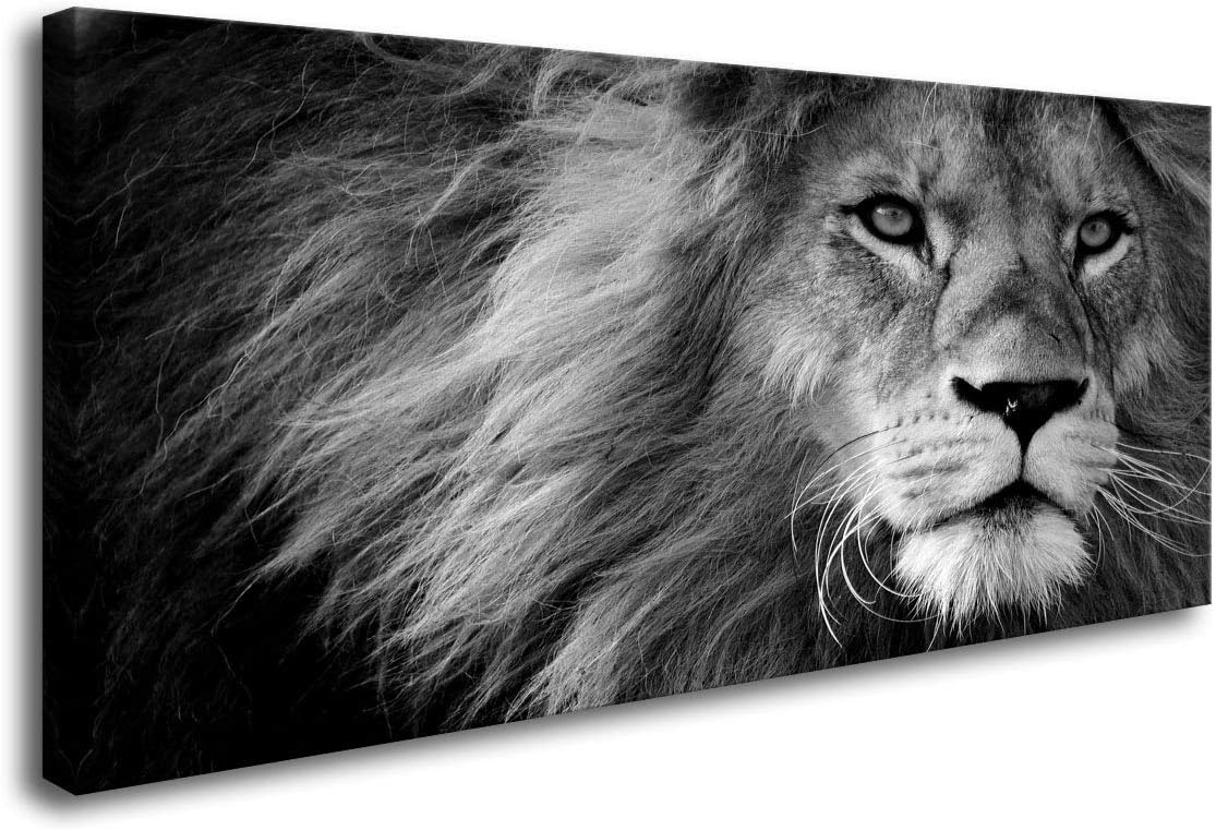 Baisuart Canvas Prints Wall Art Grey lion Stretched Canvas Wooden Framed for living Room Bedroom and Office