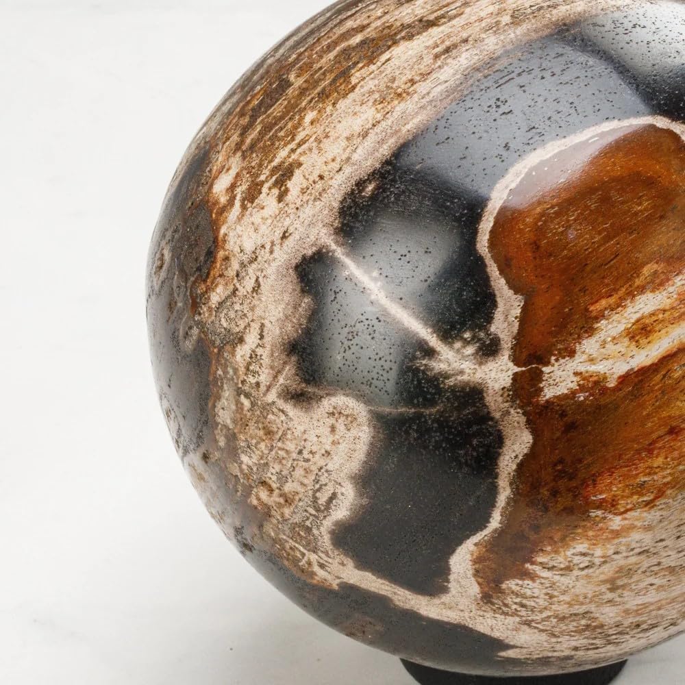 KALIFANO - 5" Black Petrified Wood Sphere, Natural Earthy Elegance for Your Space, Office or Home Decor