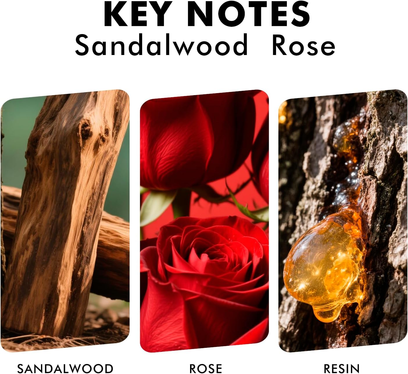 Reed Diffuser Set, Sandalwood Rose Scented Oil Diffuser with Sticks, Home Fragrance Reed Diffusers for Bathroom Shelf Decor & Air Fresheners