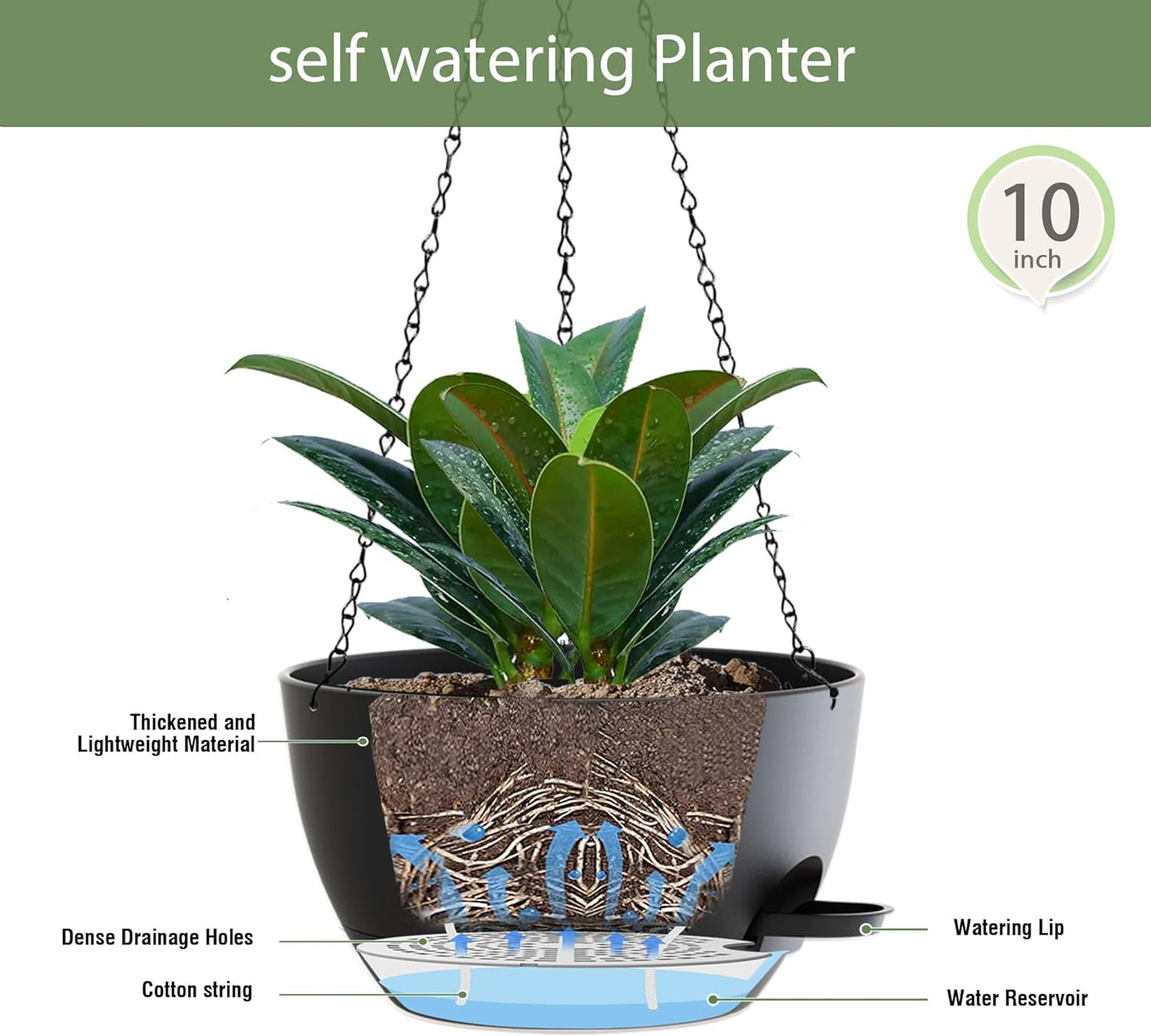 10 Inch Hanging Baskets 2 PC with Chains, Self-Watering Hanging Planters for Indoor Outdoor Plants, Plastic Hanging Flower Pots,Black