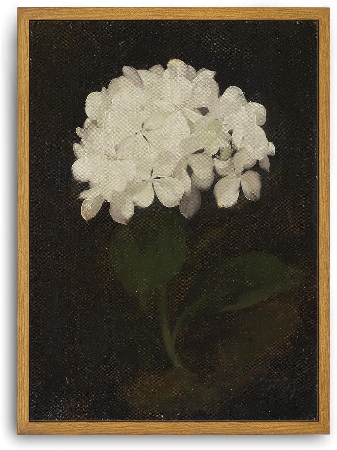 Djmwtb Vintage Framed Wall Art White Hydrangea Canvas Wall Art Minimalist Floral Art Prints Flower Botanical Painting Pictures Wall Decor Artwork for Living Room Bedroom Bathroom 8x10in