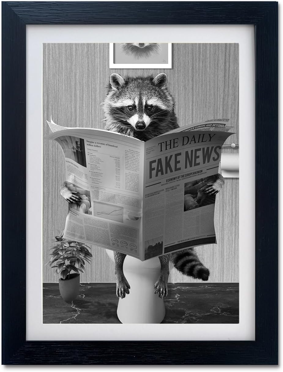 Kids Bathroom Decor Funny Raccoon in Toilet Decor Black and White Bathroom Wall Art Funny Animal Canvas Print Artwork