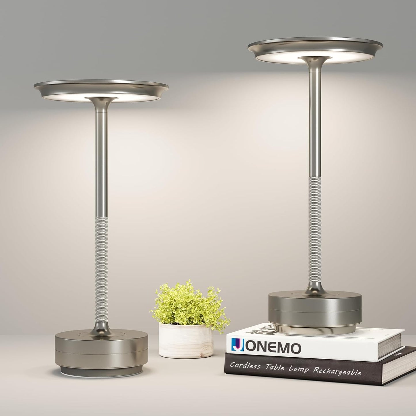 2 Pack Cordless Table Lamp, LED Rechargeable Table Light with 3 Temp Settings, Stepless Dimming, 5000mAh Battery, USB-C, Memory, Aluminum Alloy, for Home, Patio, Restaurant, Outdoor. Silver
