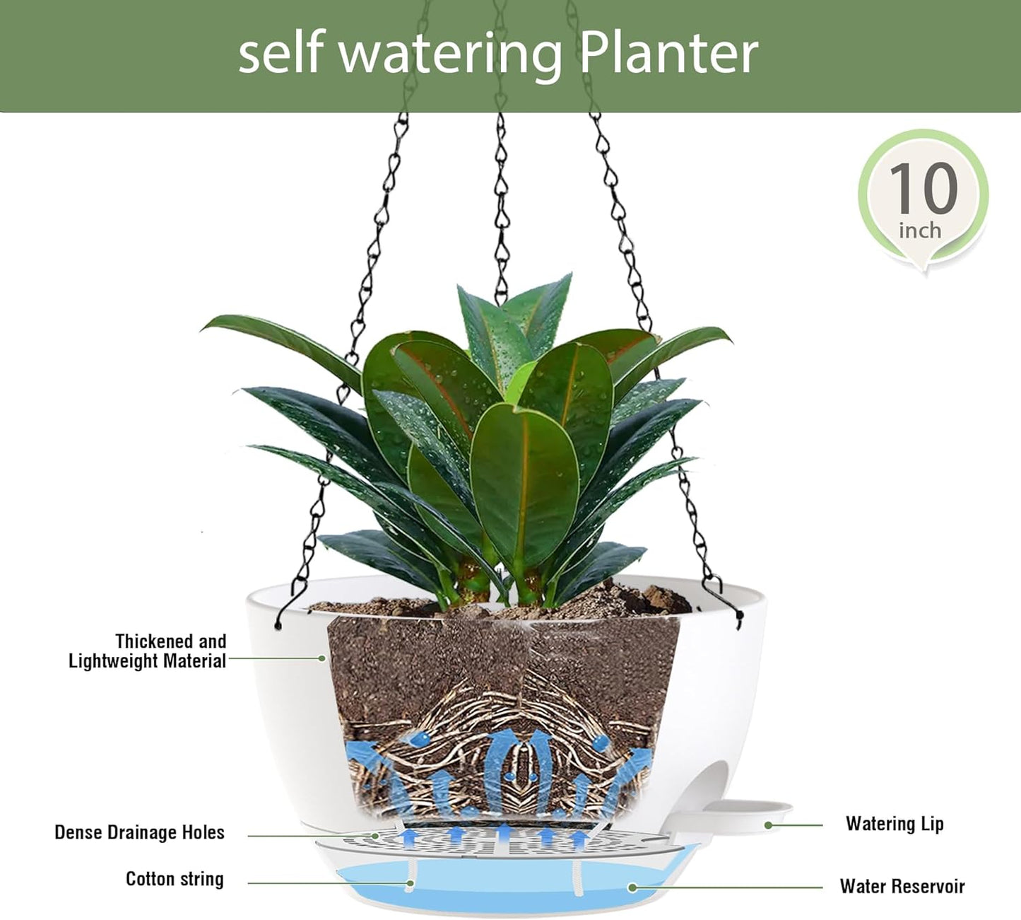 10 Inch Hanging Baskets 2 PC with Chains, Self-Watering Hanging Planters for Indoor Outdoor Plants, Plastic Hanging Flower Pots,White