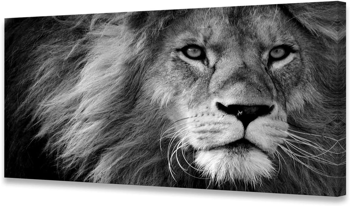 Baisuart Modern Giclee Canvas Prints Stretched Artwork Black and White Lion Pictures to Photo Paintings on Canvas Wall Art for Home Office Decorations Wall Décor XXLarge 30x60inch