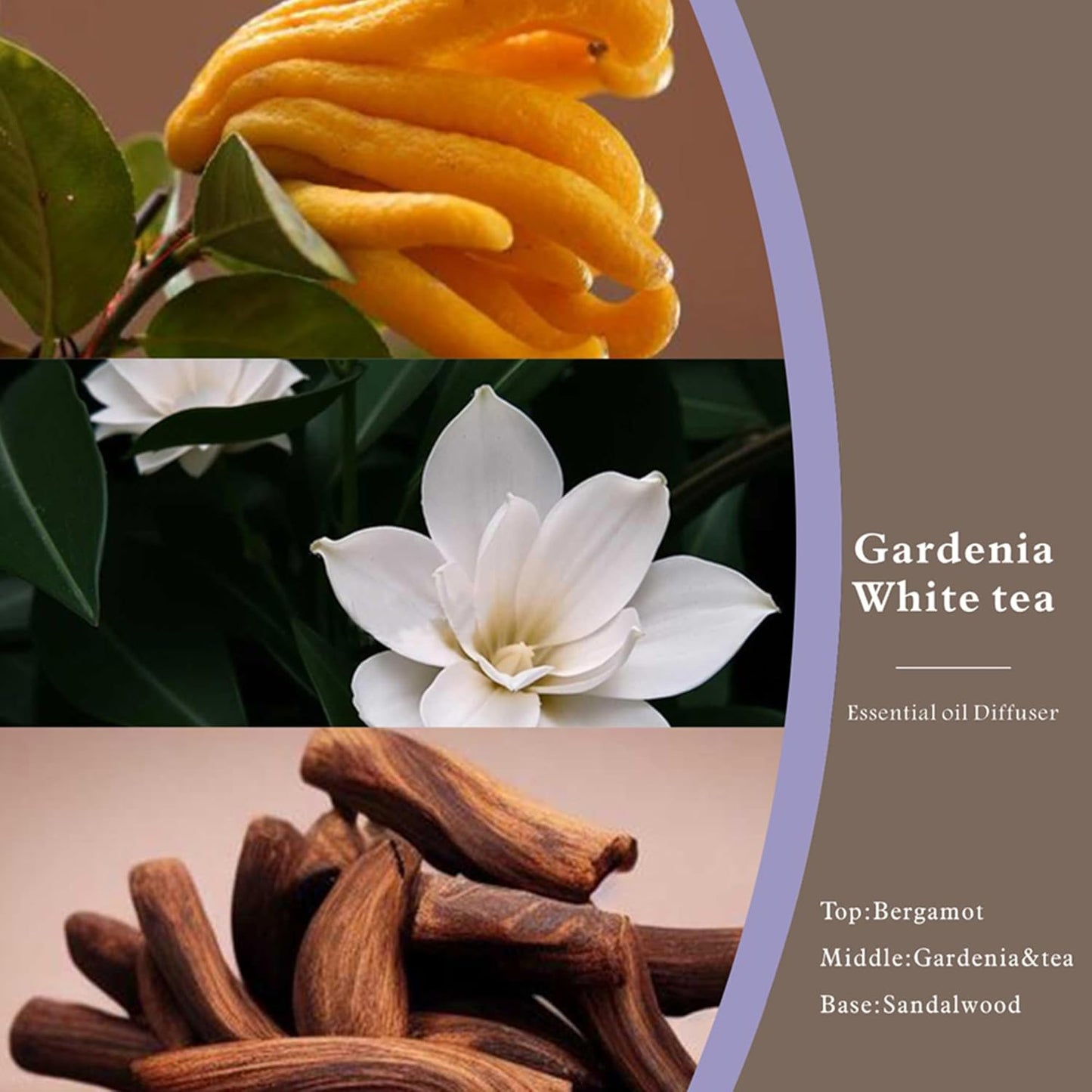 Reed Diffuser Set -8.4 fl oz Scent Diffuser with 6 Reed Sticks, Home Fragrance,Reed Diffuser for Bathroom Shelf Decor (Gardenia White Tea)