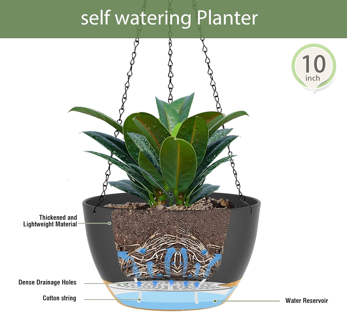 10 Inch Hanging Baskets 2 PC with Chains, Self-Watering Hanging Planters for Indoor Outdoor Plants, Plastic Hanging Flower Pots,Black Brown