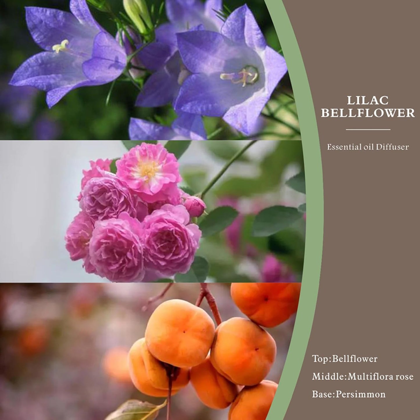 Reed Diffuser Set -8.4 fl oz Scent Diffuser with 6 Reed Sticks, Home Fragrance,Reed Diffuser for Bathroom Shelf Decore (Bellflower)