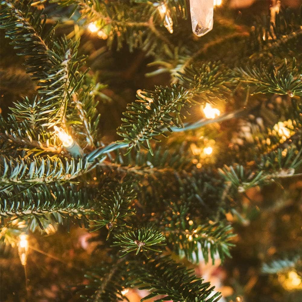 Christmas Lights 33ft 100 LED Battery String Lights with Timer Memory Function USB or Battery Powered Waterproof String Lights for Indoor Outdoor Decoration (Warm White)