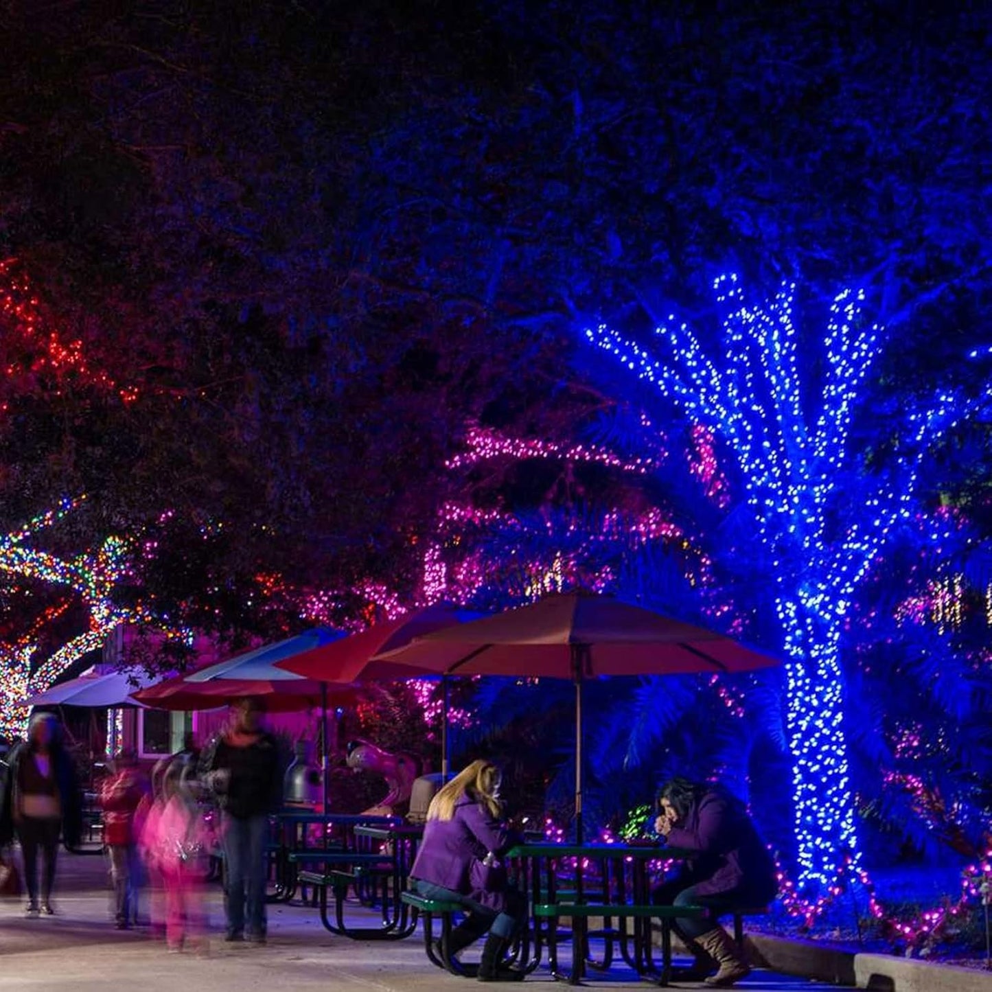 TW SHINE Christmas Lights, 200 LED 66FT Outdoor Christmas Lights Plug in with 8 Modes, Waterproof Light Outdoor, Indoor Xmas Decorations for Party Yard House Decor, Blue