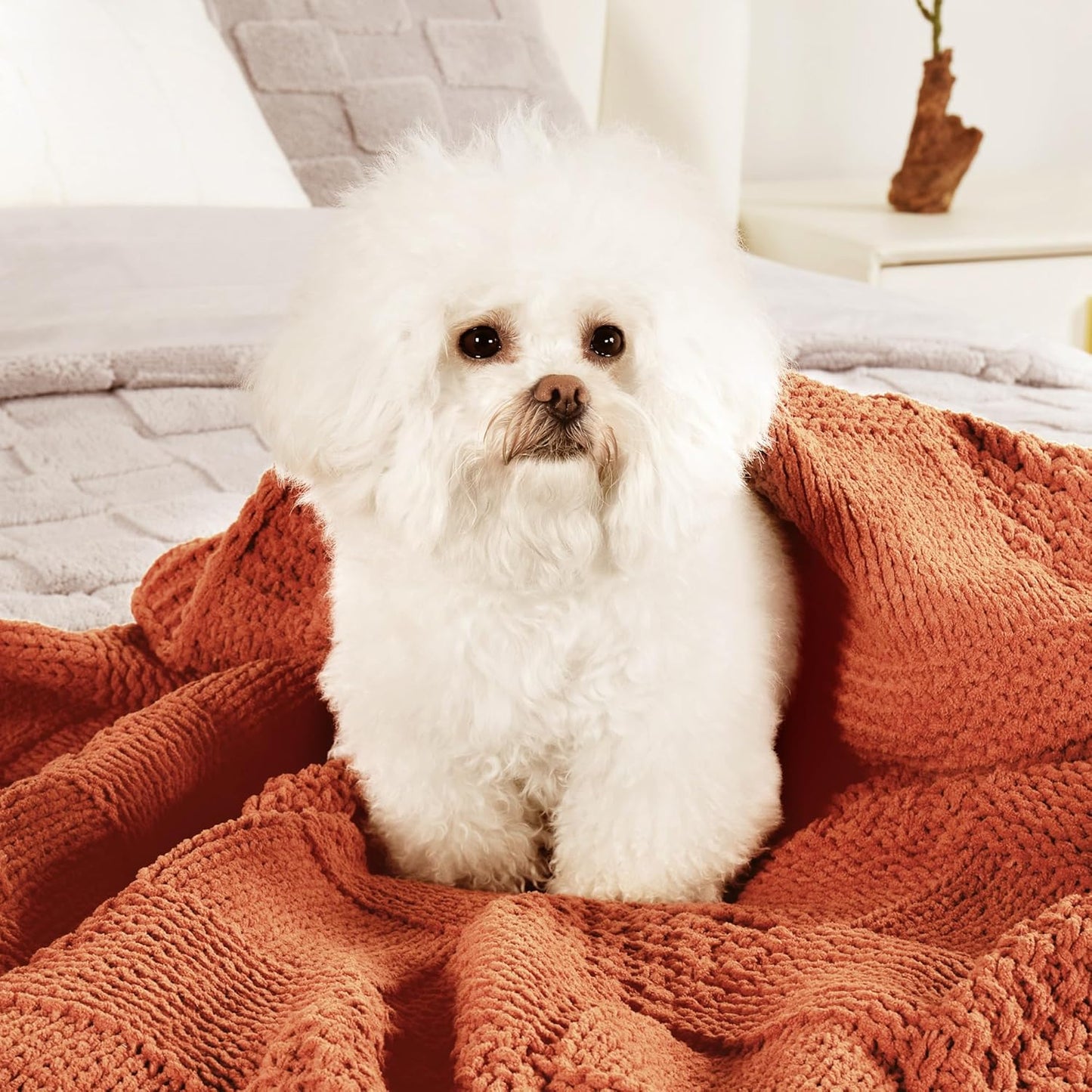 Amélie Home Checkered Chenille Knit Throw Blanket for Couch, Classic Texture Decorative Soft Blanket for Sofa, Chair & Bedroom, 50"x60", Burnt Orange