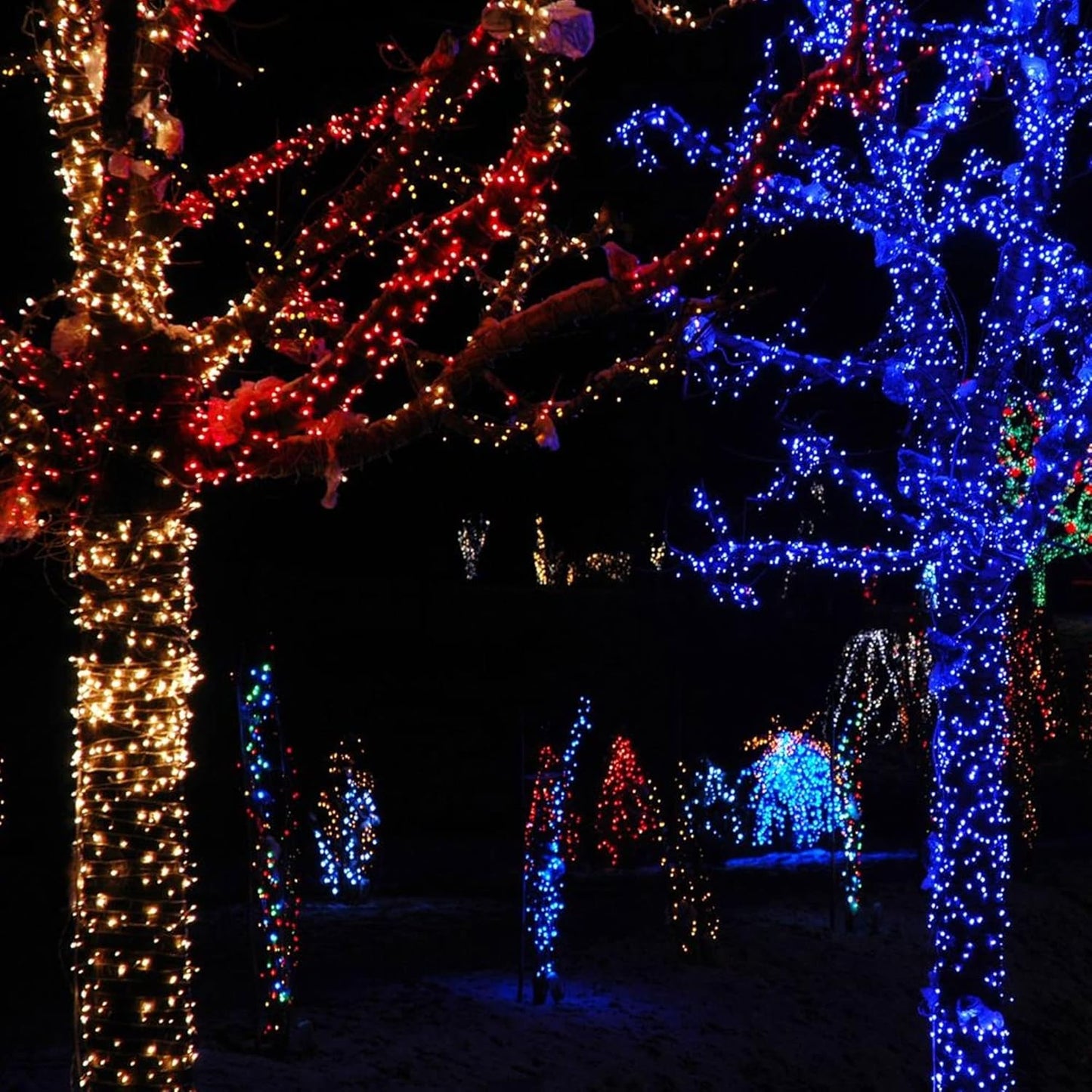 TW SHINE Christmas Lights, 200 LED 66FT Outdoor Christmas Lights Plug in with 8 Modes, Waterproof Light Outdoor, Indoor Xmas Decorations for Party Yard House Decor, Red