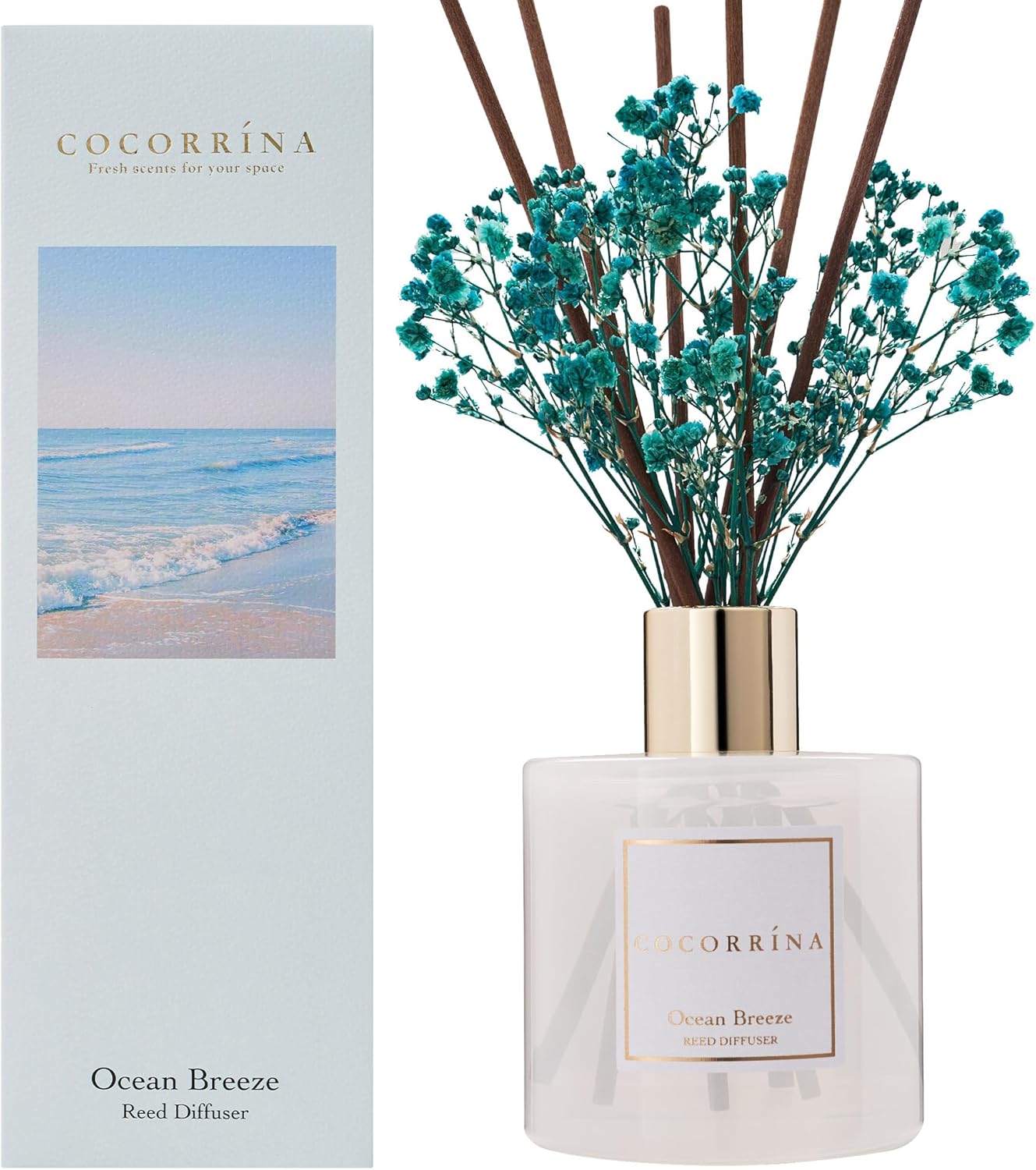 COCORRÍNA Reed Diffuser - Ocean Breeze Scented Diffuser with 8 Sticks Home Fragrance Reed Diffuser for Bathroom Shelf Decor