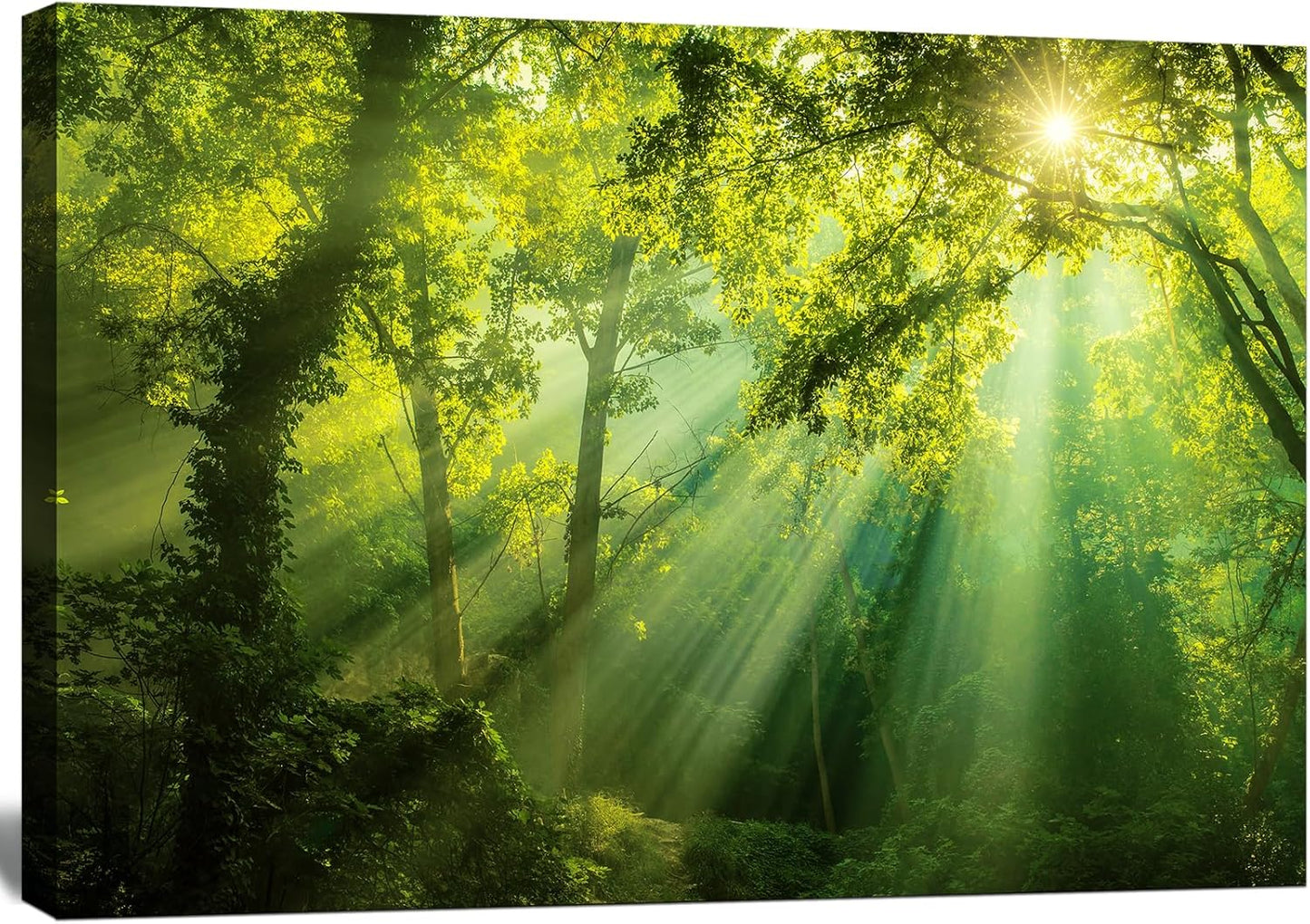 Green Forest Canvas Wall Art Dense Trees in the Sunshine Picture Print Landscape Painting Spring Nature Artwork Decor for Living Room Bedroom Office Decoration - - 24”x36”