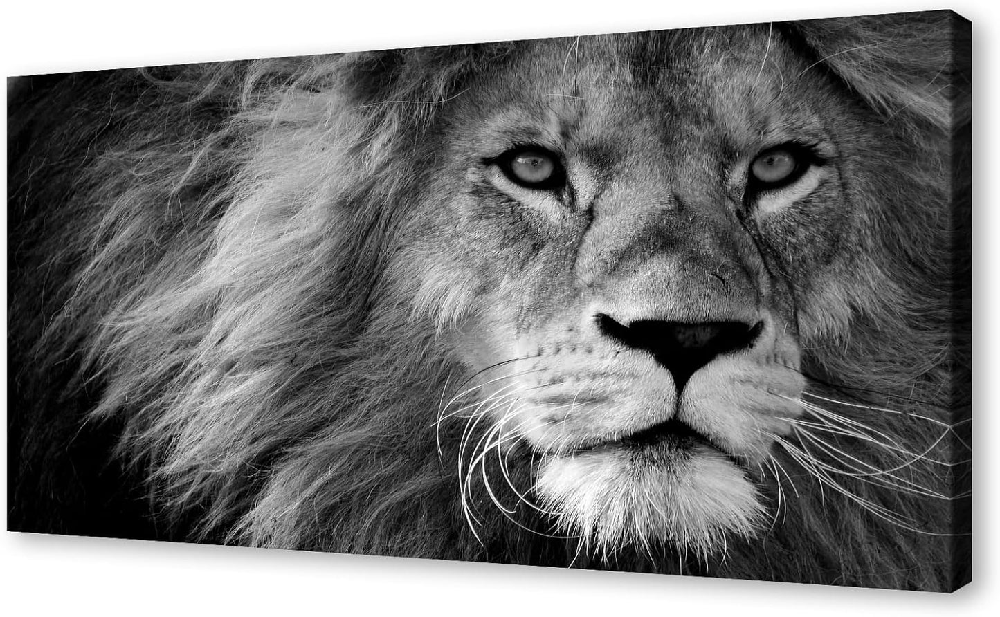 Baisuart D0198 Modern Giclee Canvas Prints Wall Art Stretched Artwork Black and White Lion Pictures to Photo Paintings on Canvas Wall Art for Bedroom Living Room Home Decorations Office Wall Décor