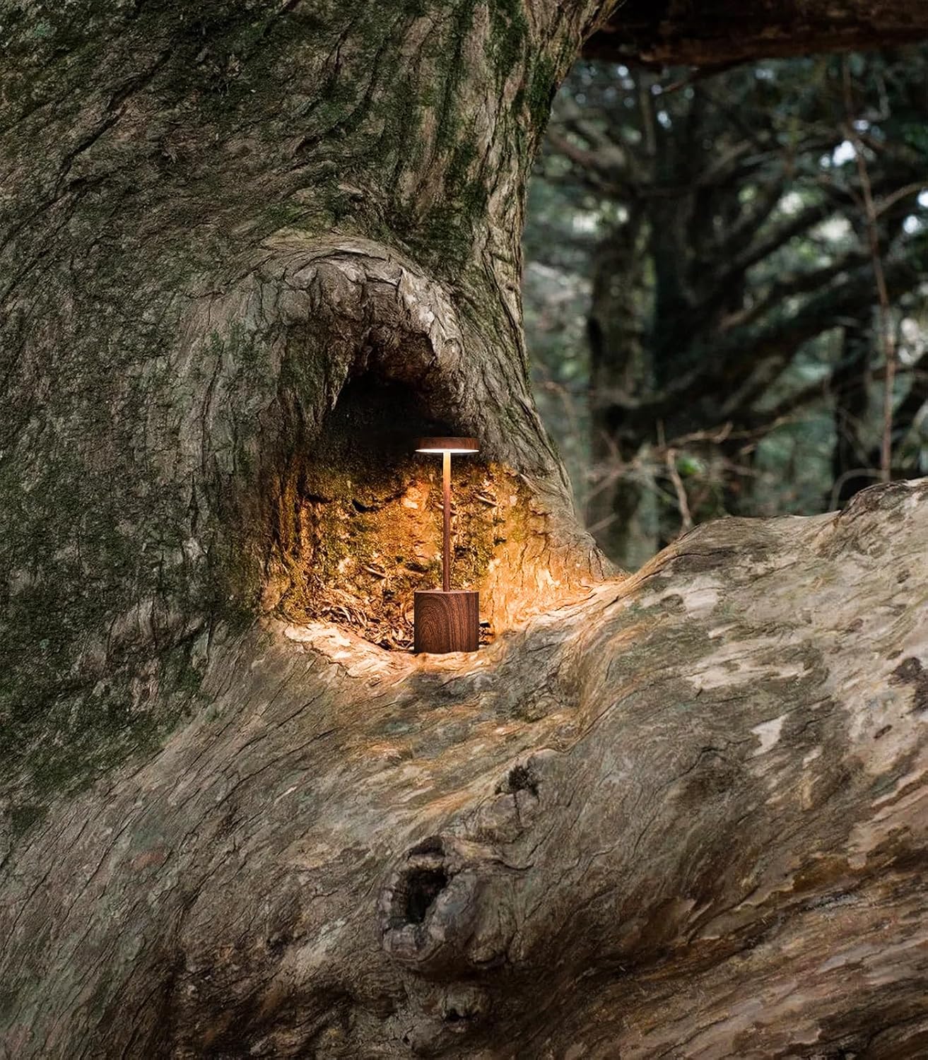 2 Pack Cordless Rechargeable Table Lamp, 3 Color Temperature & Dimmable, IP54 Waterproof Battery Operated Portable LED Light for Outdoor, Patio, Restaurant, Bedside, Shower (Wood)