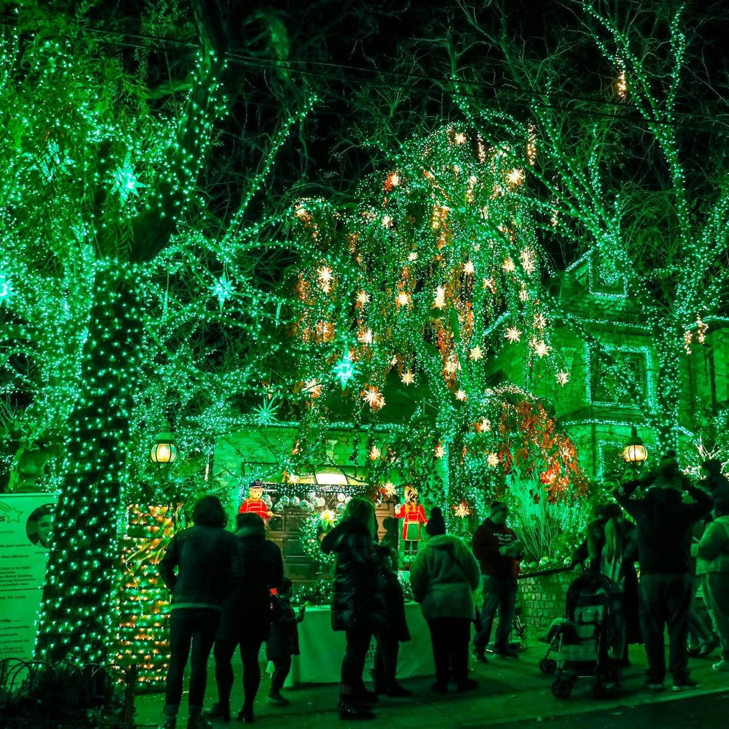 TW SHINE Green Christmas Lights, Total 400 LED 132FT Christmas Lights Plug in with 8 Modes, Waterproof Fairy St. Patrick's Day Light Outdoor, Indoor Christmas Decorations for Party Yard Decorations