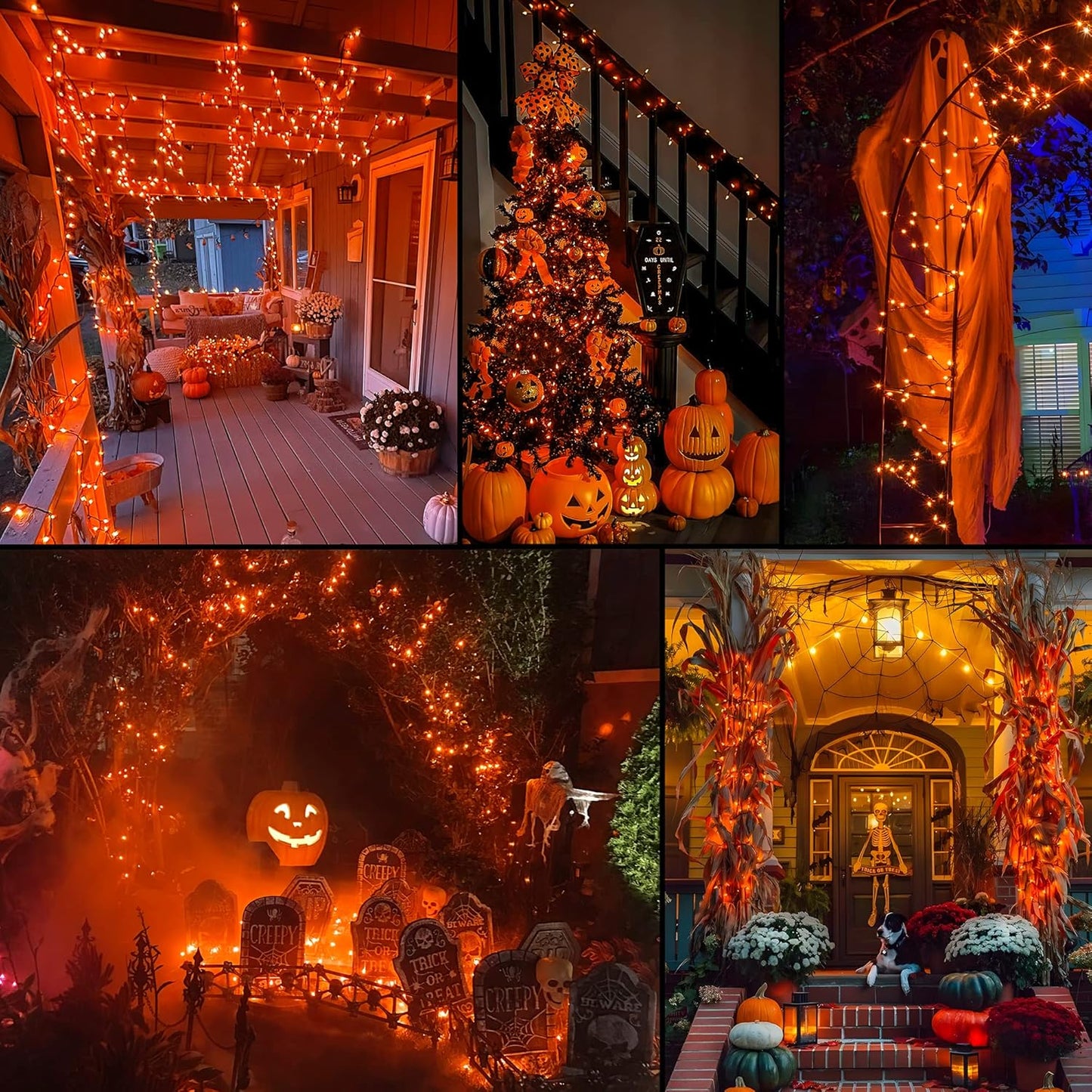 Hopolon Orange Thanksgiving Mini Lights, 2Pack 13Feet 50Count Autumn Fall String Lights,Connectable 120V Plug in for Outdoor Indoor Garden Party Halloween Christmas Xmas Tree Lights Yellow Decor